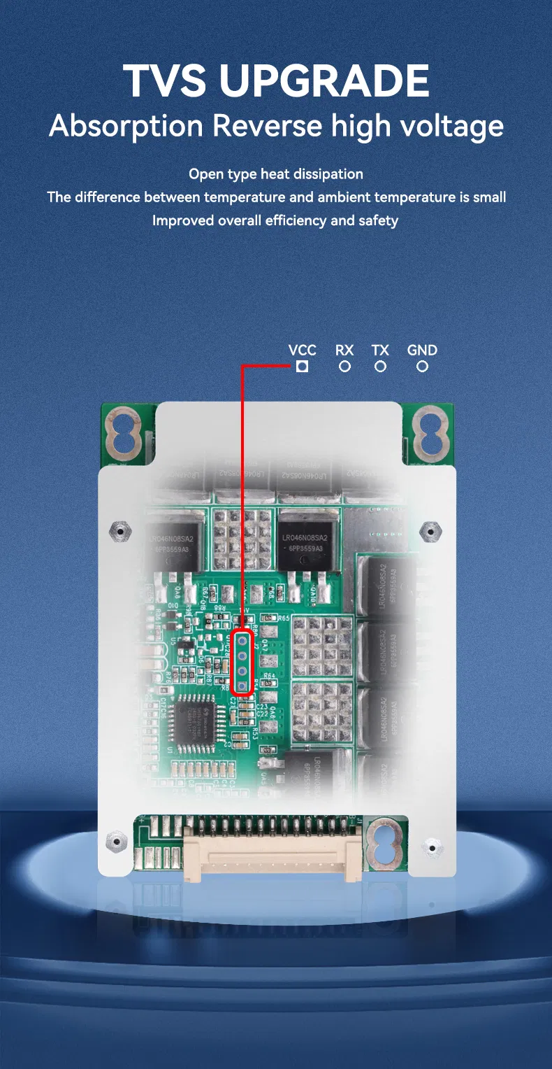 BMS Detail 5