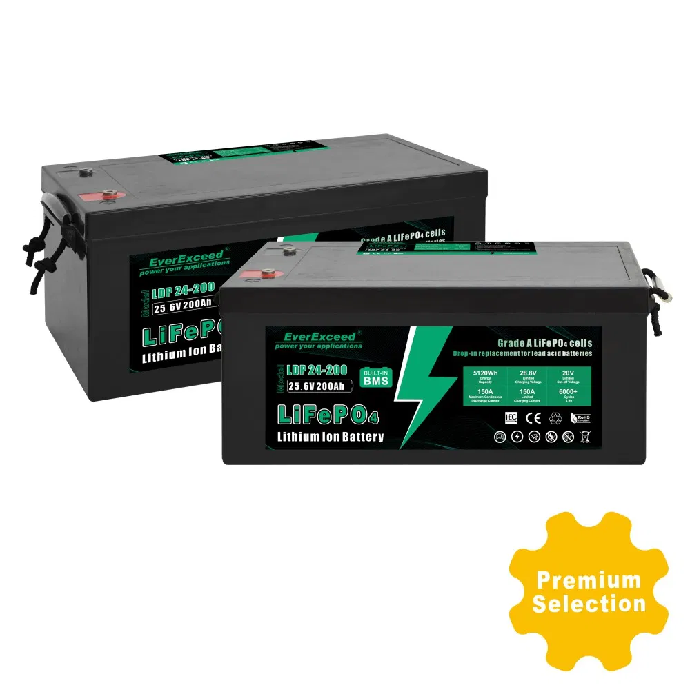 Baterías de iones de litio recargables de carga rápida 24V 200ah LiFePO4 para módulos marinos