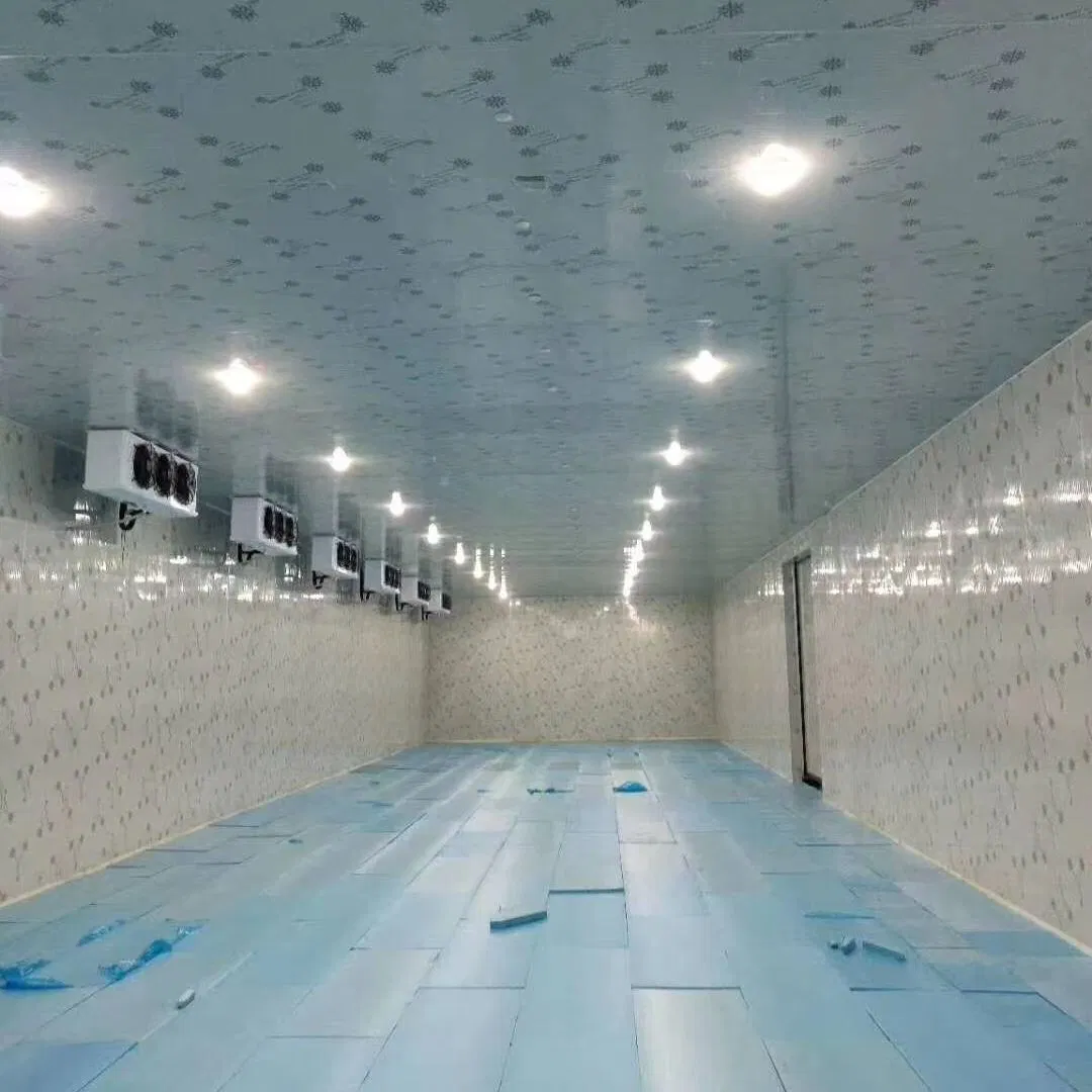 Sala Fría Industrial para Control Óptimo de Temperatura y Almacenamiento Sala de Almacenamiento en Frío