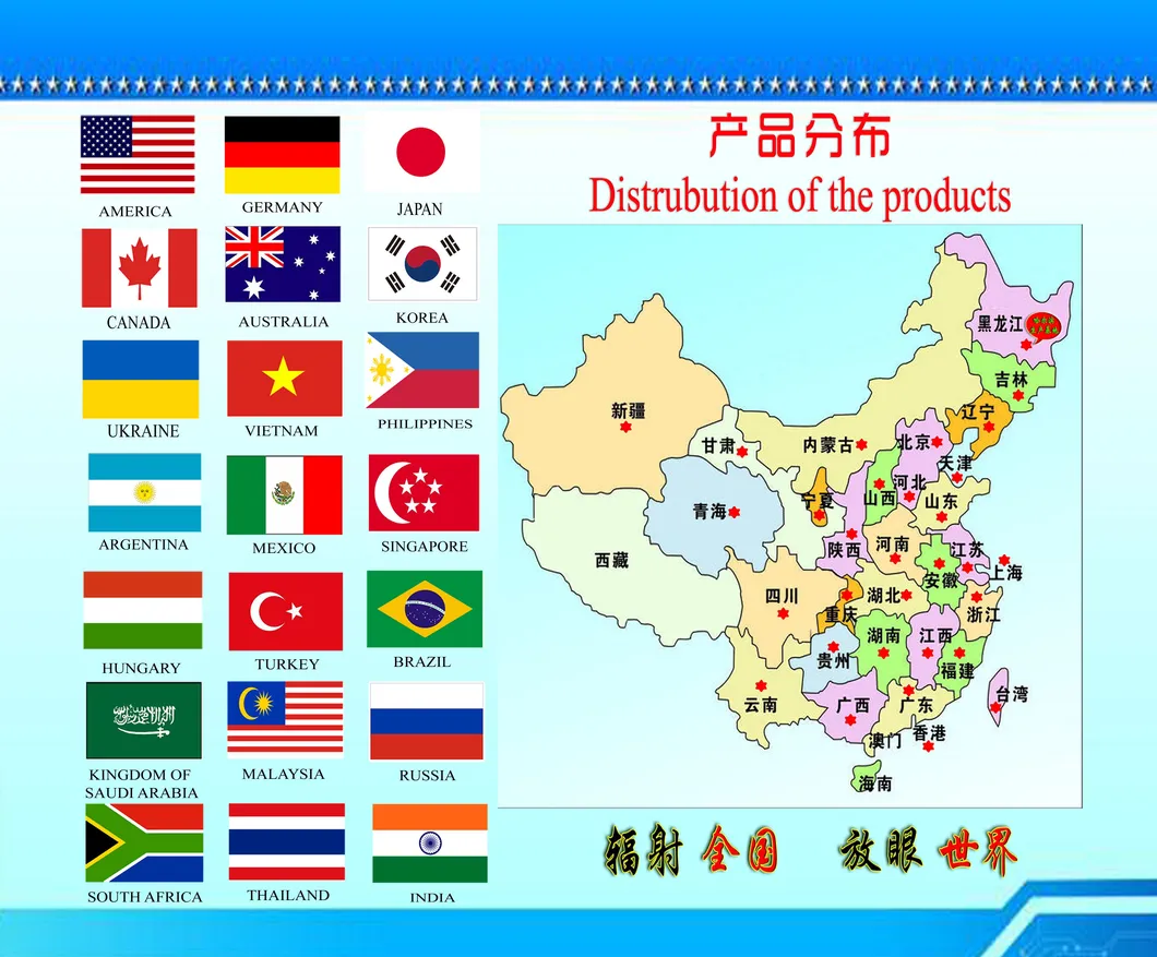 Circulation System View
