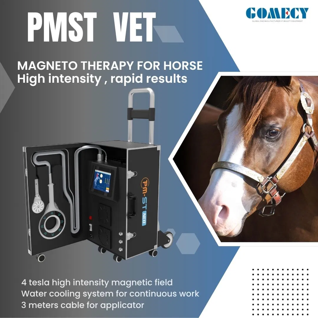 Equine Magneto Pemf Vet Horse Health Care Pmst Magneto Physiotherapy Machine
