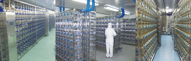 IVC System for Laboratory Rodents