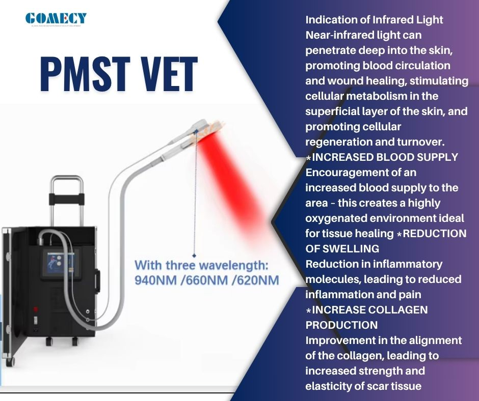 Equine Magneto Pemf Vet Horse Health Care Pmst Magneto Physiotherapy Machine