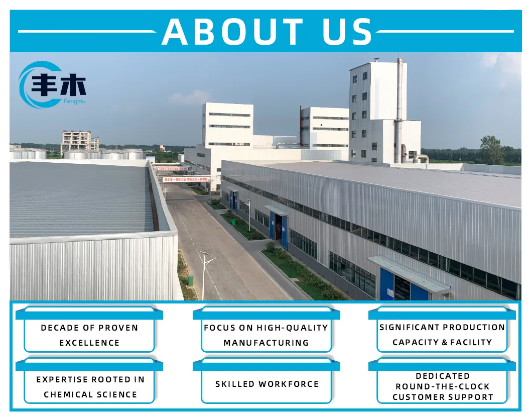 Company Overview