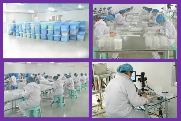 Professional Service 2