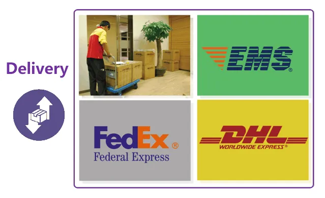 Professional Service 1