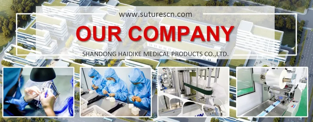 Company Banner