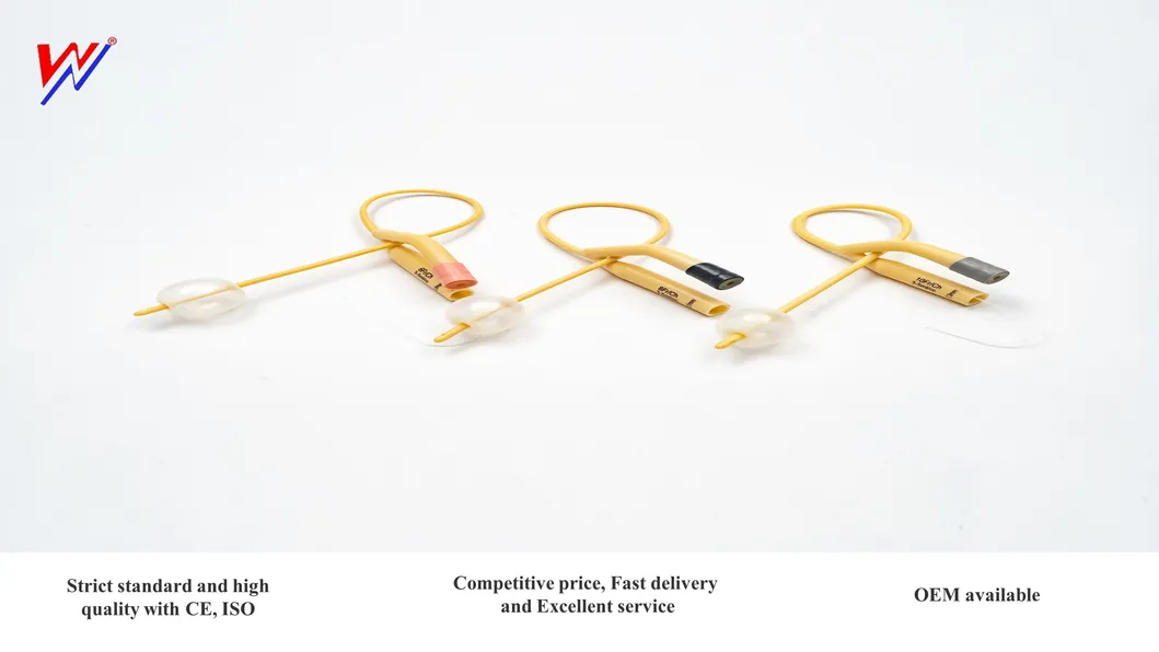 Urinary Foley Catheter 3