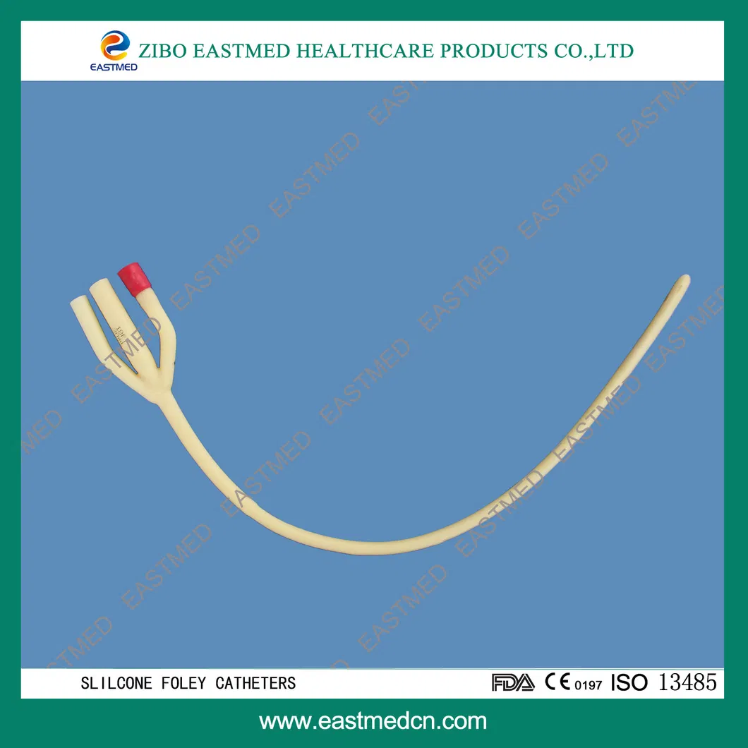 2 Ways Latex Foley Catheter