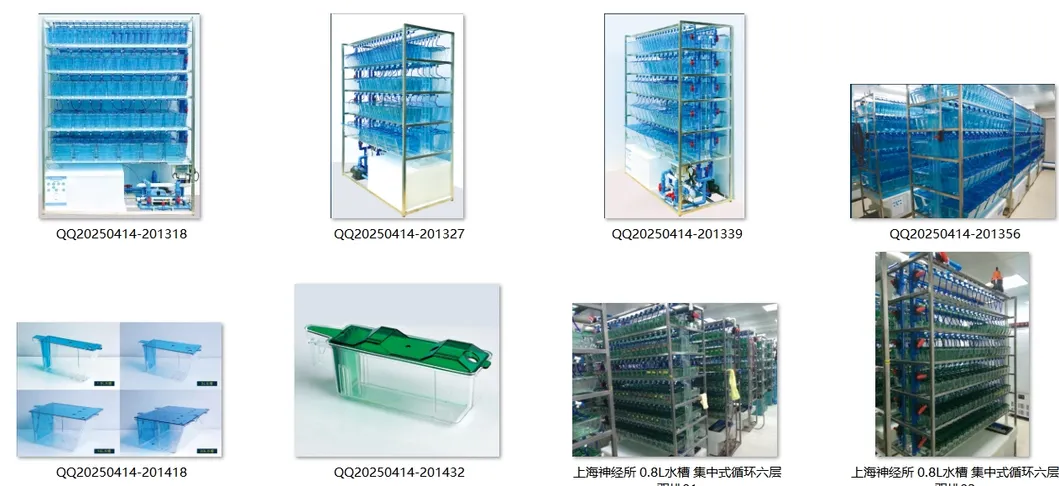 Zebrafish Rack