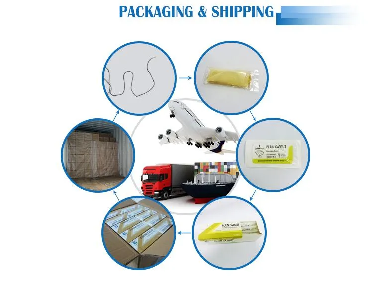Packaging Logistics