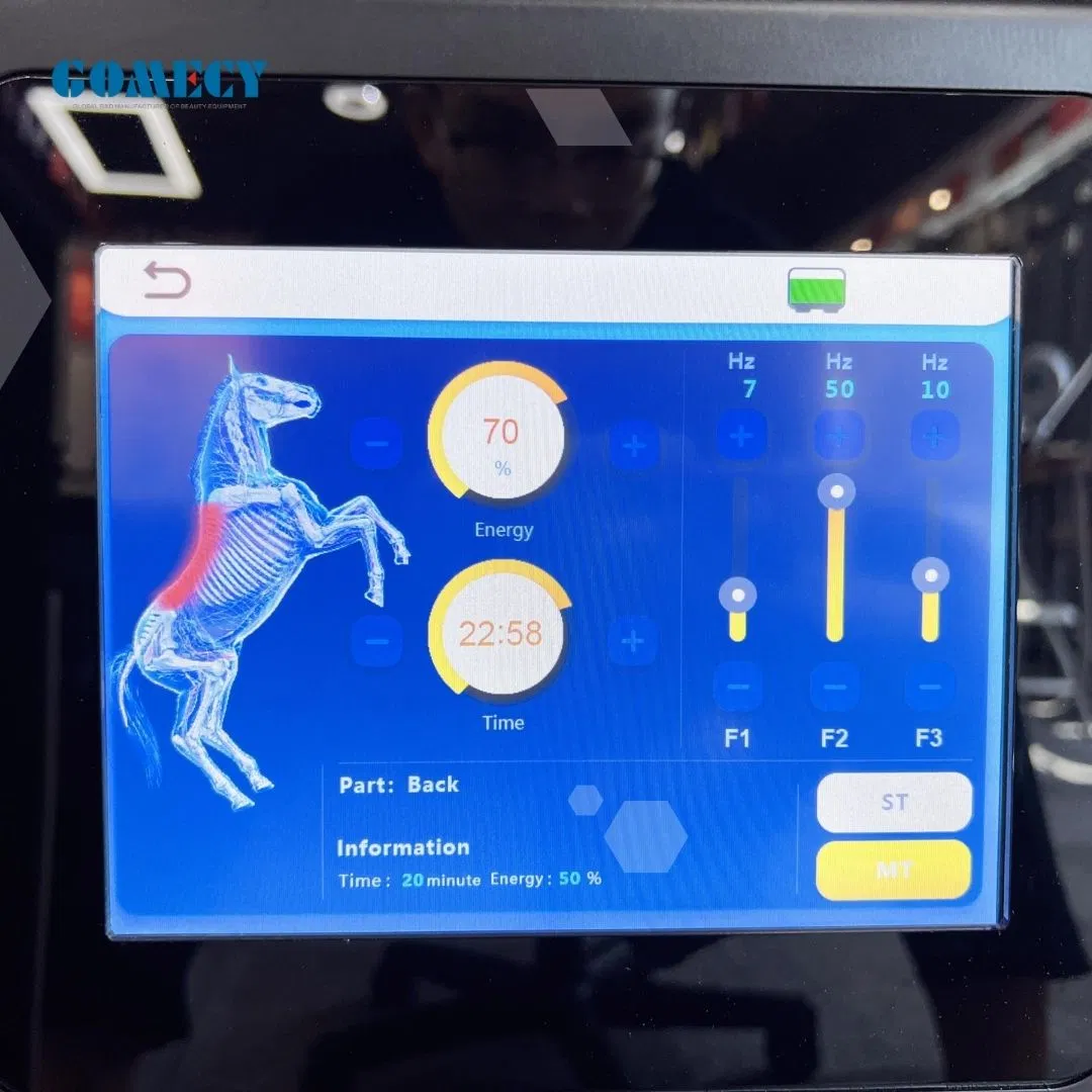 Equine Magneto Pemf Vet Horse Health Care Pmst Magneto Physiotherapy Machine