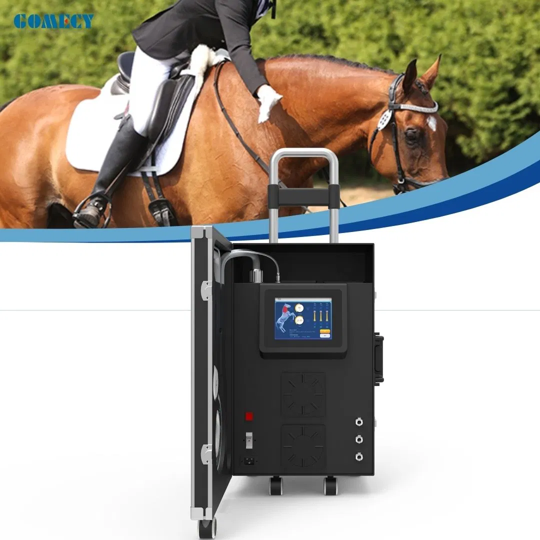 Equine Magneto Pemf Vet Horse Health Care Pmst Magneto Physiotherapy Machine