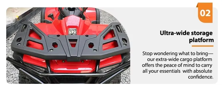 300cc ATV Utilitário