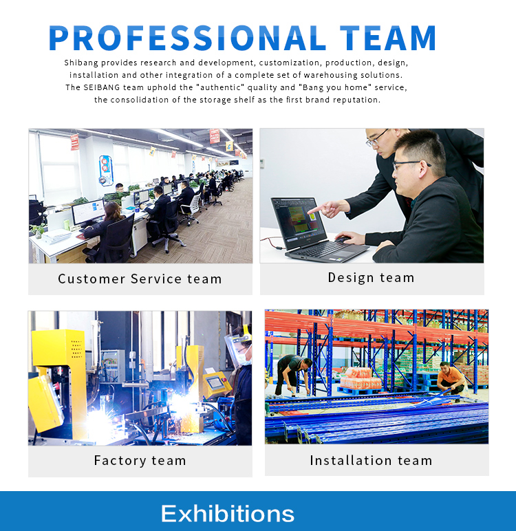 Our Professional Team