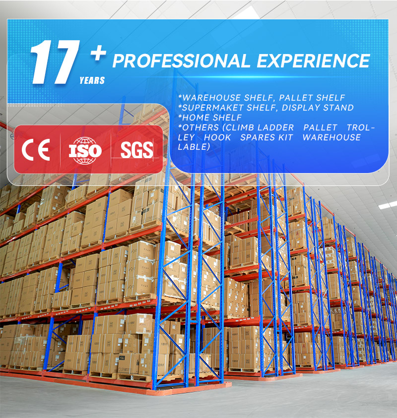 Company Overview 1