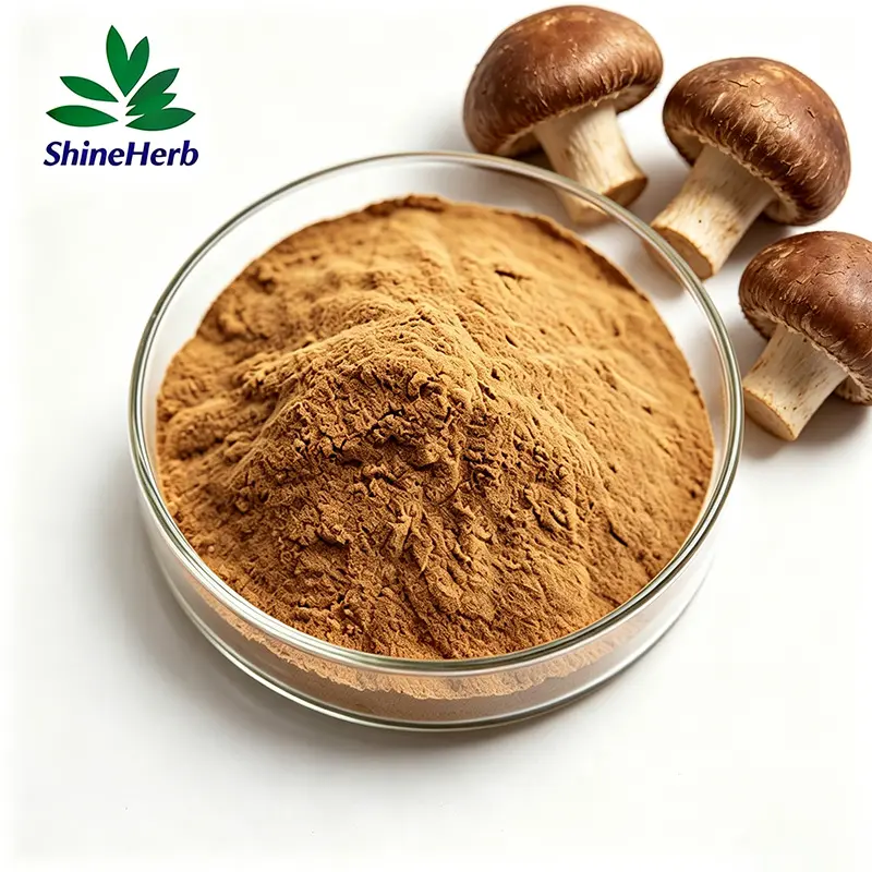 Best High Quality Shiitake Mushroom Extract AHCC Water Souble for Dietary Supplement Supplier, Companies
