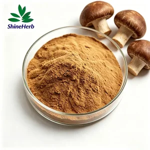 Best High Quality Shiitake Mushroom Extract AHCC Water Souble for Dietary Supplement Supplier, Companies