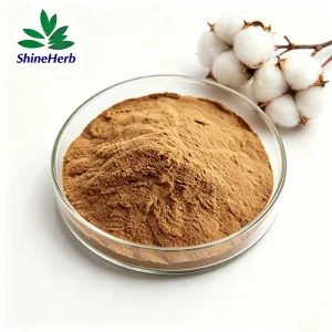 Wholesale High Quality Cotton Seed Extract Natural Gossypium Hirsutum Seed Extract Powder Suppliers, Company