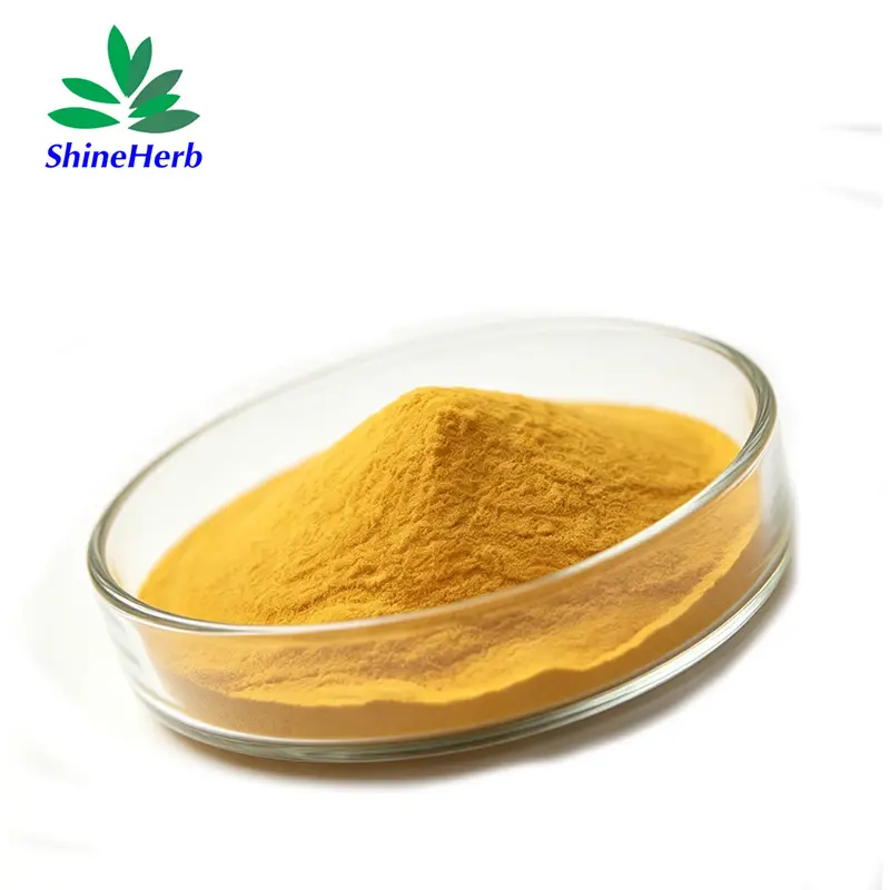 China Vitamin B9 (Folic Acid) Powder, High Purity dietary supplement Manufacturers, Exporter