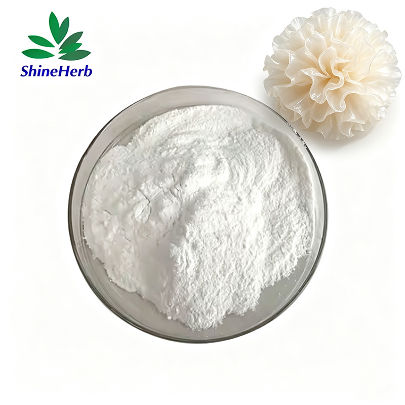 tremella-fuciformis-mushroom-e