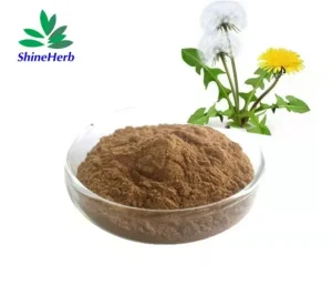 Best Dandelion Extract Taraxacum Officinale Powder Total Flavonoids 5%-20% Supplier, Exporters