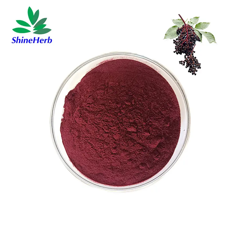 High-Quality Wholesale Elderberry Extract Natural Anthocyanidin Raw Material Companies, Exporters