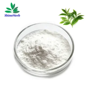 L-Theanine Green Tea Extract