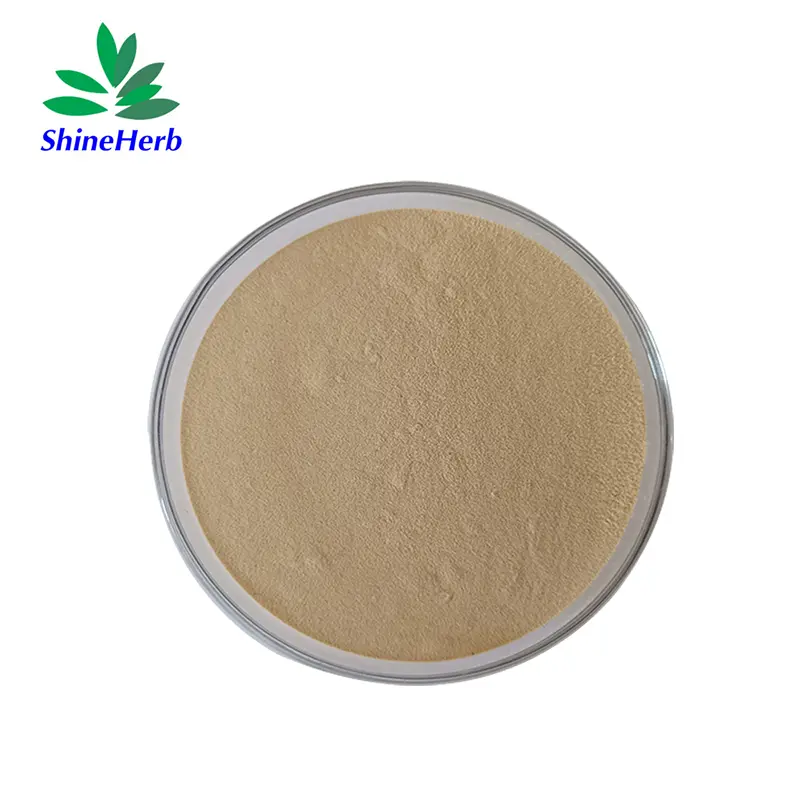 Wholesale Wholesale Oyster Mushroom Extract for Dietary Supplement Suppliers, Exporter