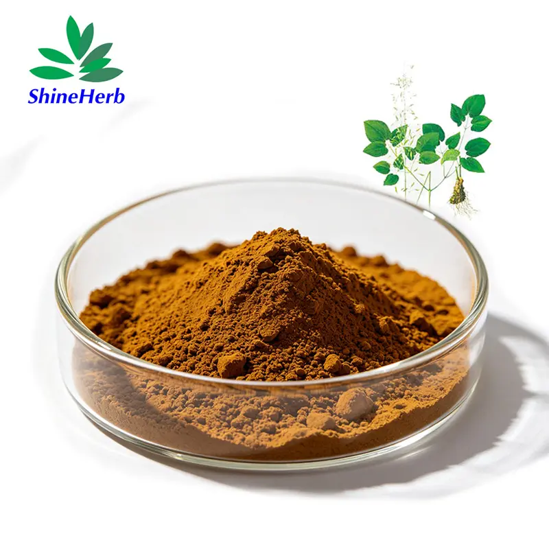 Wholesale Epimedium Extract - High Purity Icariin for Health Supplier, Exporter