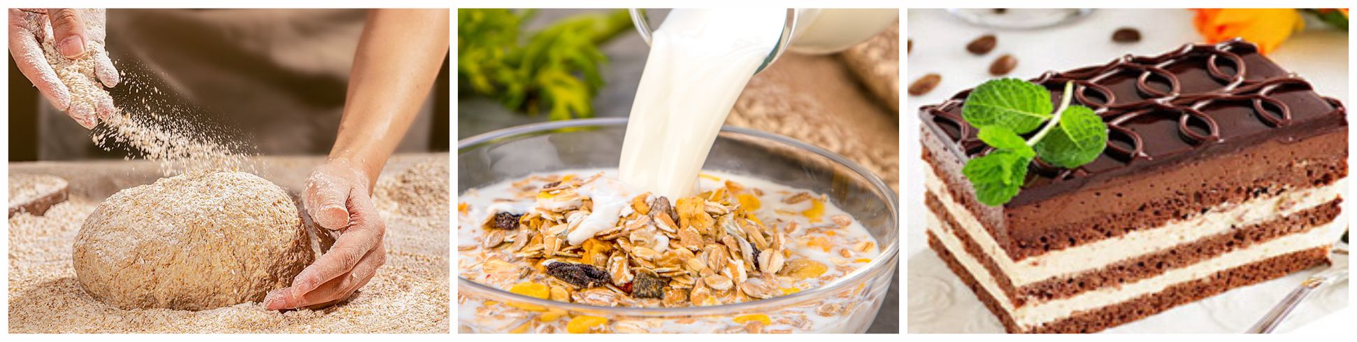oat-beta-glucan-4