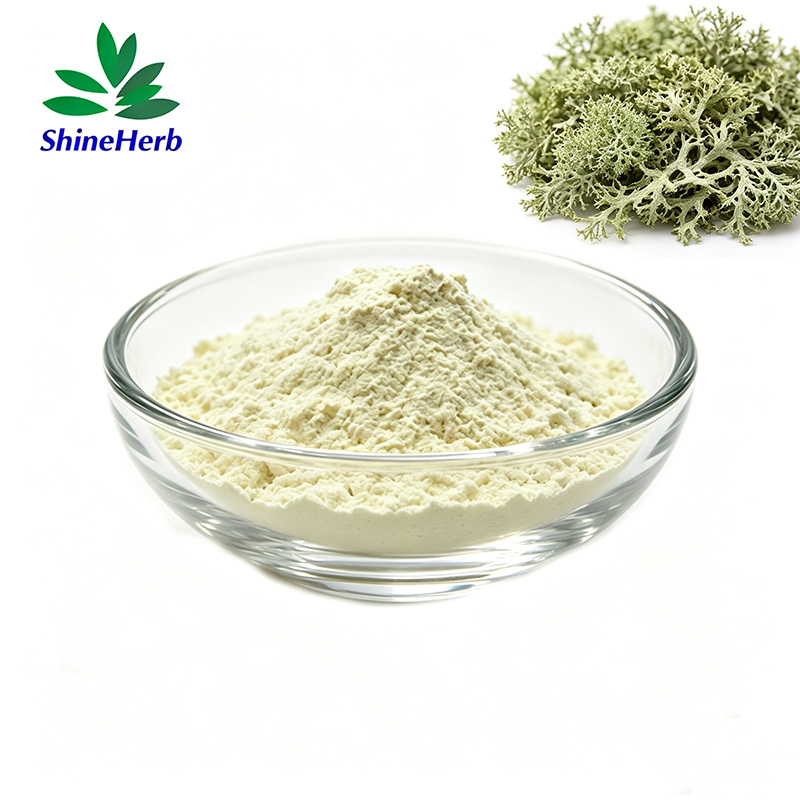 lichen-extract-1