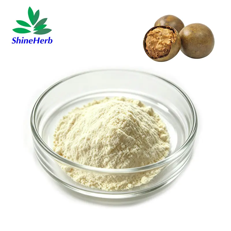 Wholesale Bulk Monk Fruit Extract Powder Mogroside V 20% Sweetener Luo Han Guo Extract Exporters, Exporter