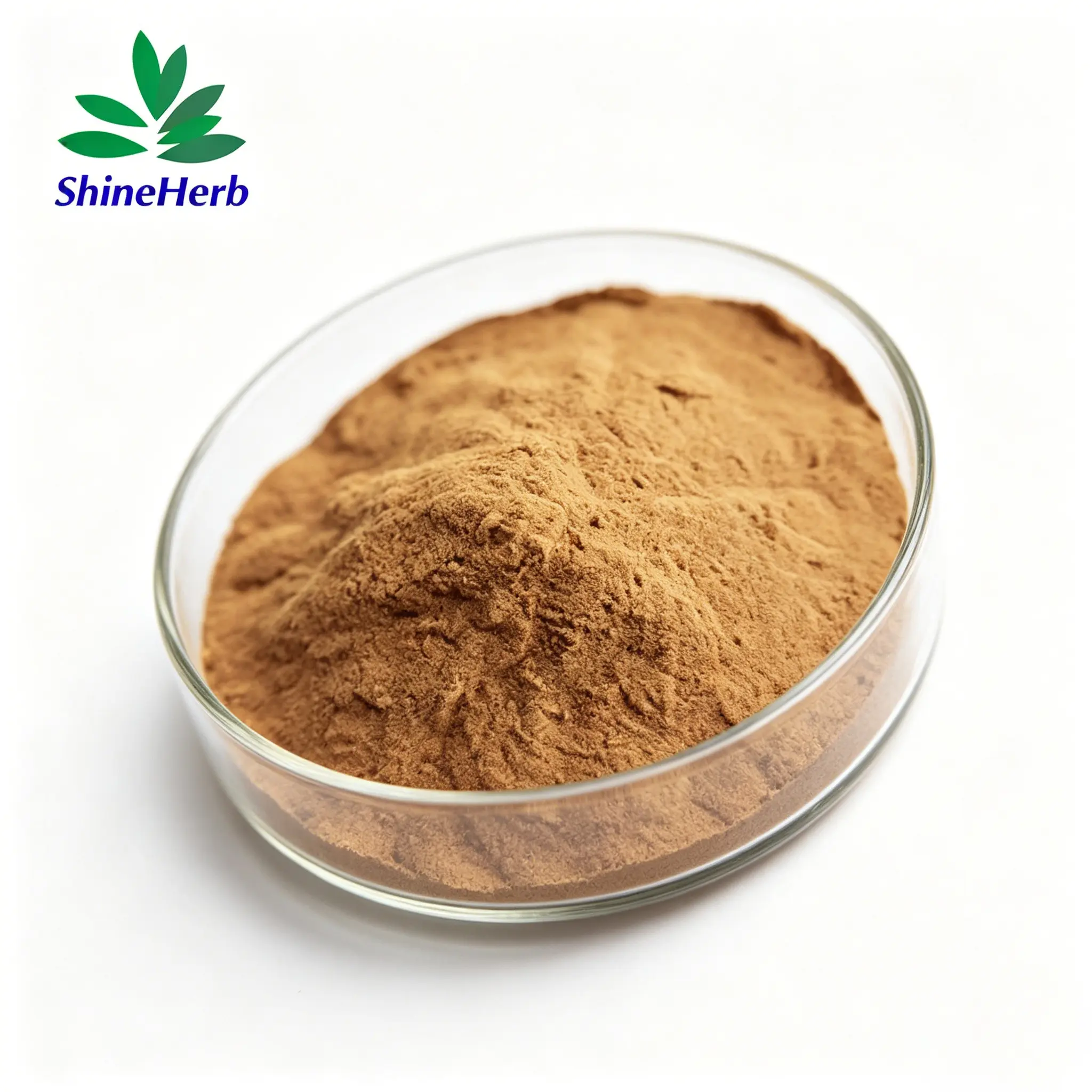 Best Milk Thistle Extract 80% Silymarin Liver Support Manufacturer, Supplier