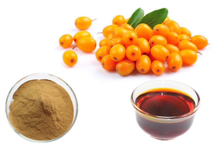 seabuckthorn-extract-4