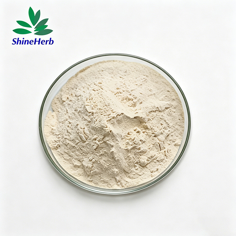 flavor-enzyme-2