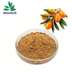 High-Quality Bulk Seabuckthorn Extract Sea Buckthorn Flavonoids Powder Dietary Supplement Manufacturers, Companies