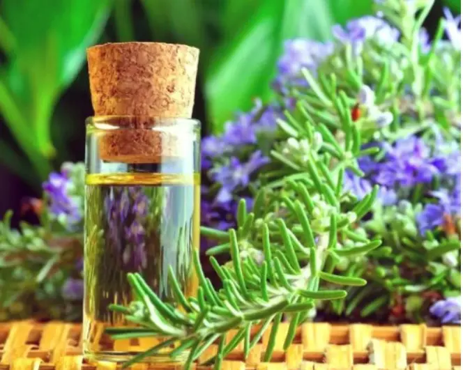 Buy Natural Organic Thyme Essential Oil China Factory Wholesale Manufacturers, Factory