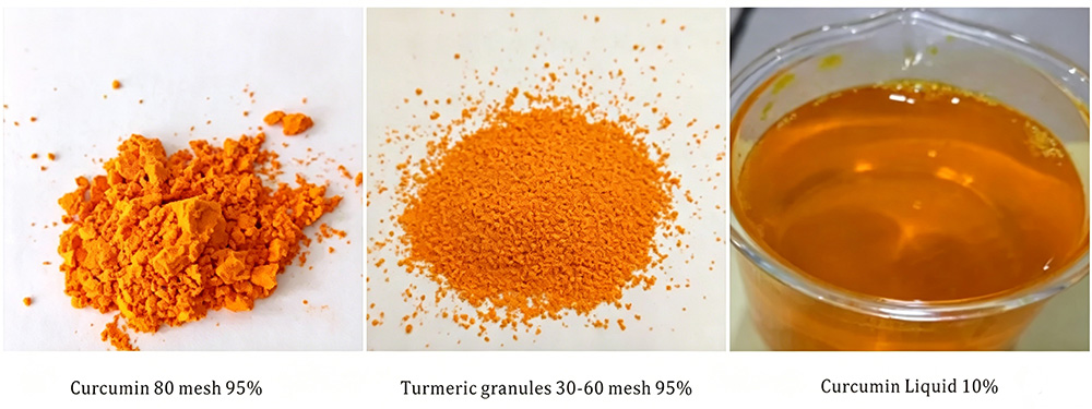 Curcumin Extract Specifications