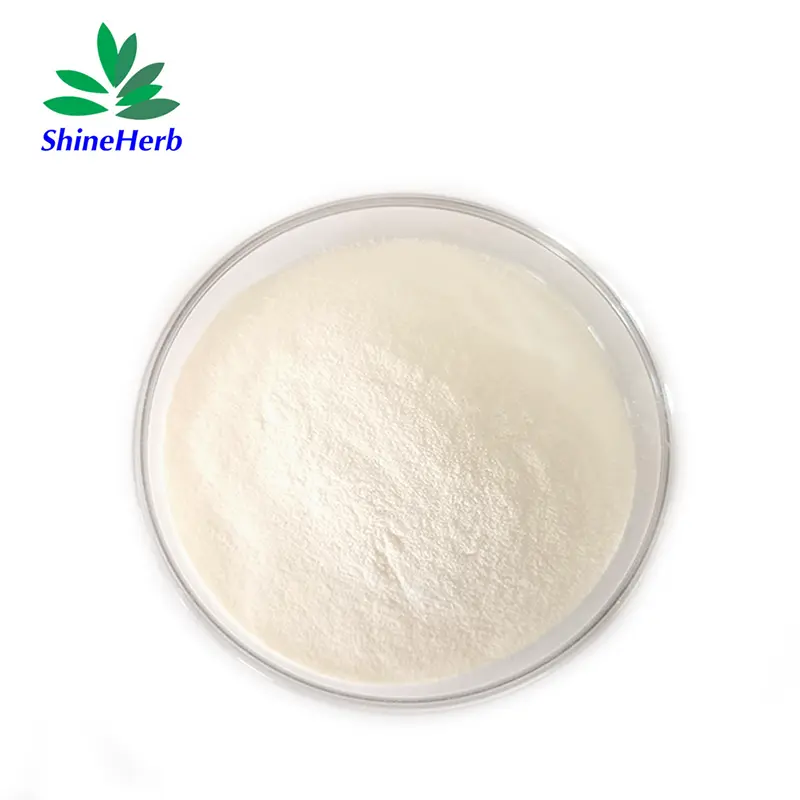 Buy Lactobacillus Helveticus Powder for Boost Immunity Supplier, Factories
