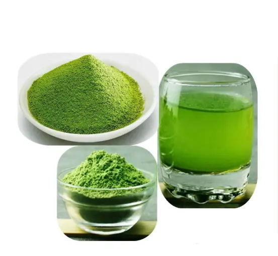 China Factory Supply Moringa Leaf Powder Moringa Oleifera Extract Bulk Wholesale Exporters, Factories