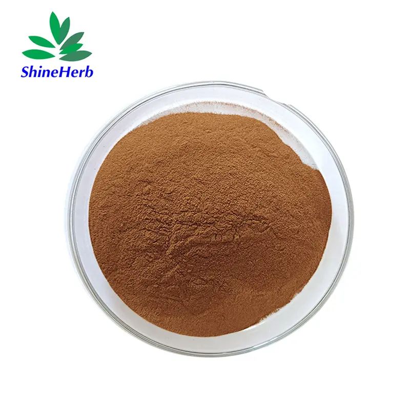 High-Quality Eurycoma Longifolia Extract Supplier Tongkat Ali Extract benefits for men Companies, Factory