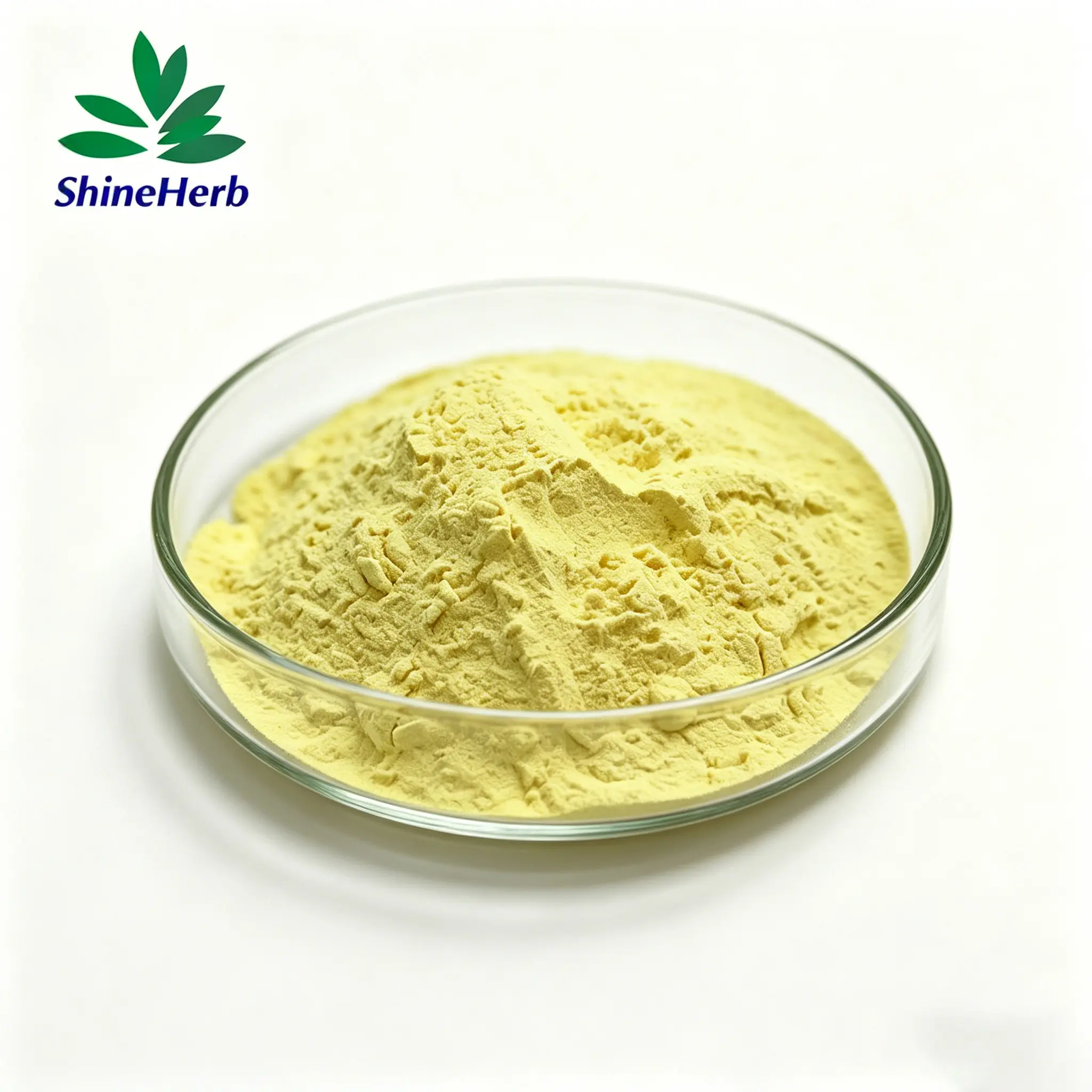 Buy Vitamin K1 Phylloquinone Powder for Dietary Supplement Exporters, Exporter