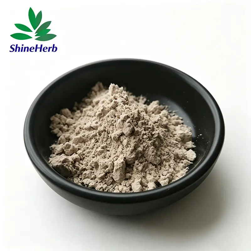 High-Quality Bulk Psyllium Husk Powder for Loss Weight Ingredient Companies, Exporter