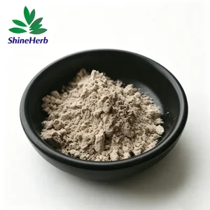 High-Quality Bulk Psyllium Husk Powder for Loss Weight Ingredient Companies, Exporter