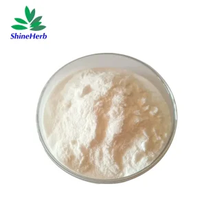 Bifidobacterium lactis Powder