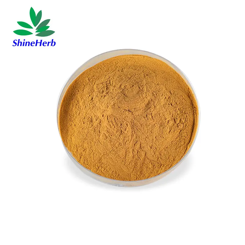 High-Quality Hot Sale Dodder Seed Extract Wholesale Cuscuta Seed Extract Powder Suppliers, Factory