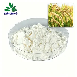 Best Gamma‑Oryzanol Powder 98% Natural Rice Bran Extract For Supplement & Cosmetics Company, Factory