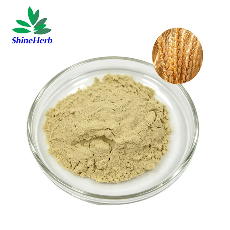 High-Quality Wheat Germ Extract 1% Spermidine Natural Supplement Source Company, Factories