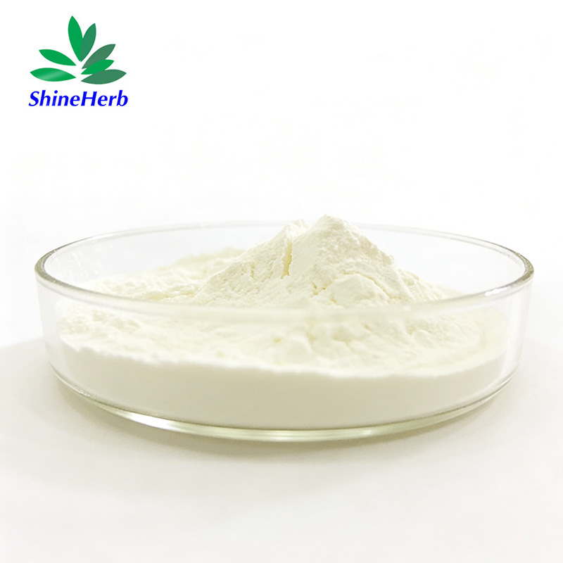 sucrase-invertase-enzyme